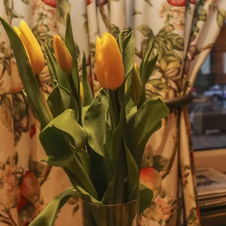 ホテル Alpenhotel Tauernstueberl