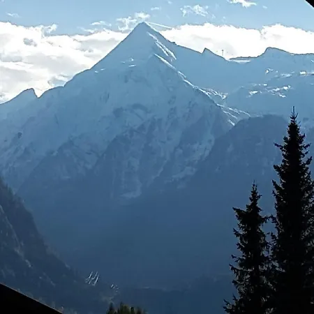 Alpenhotel Tauernstueberl ホテル ツェル アム ゼー