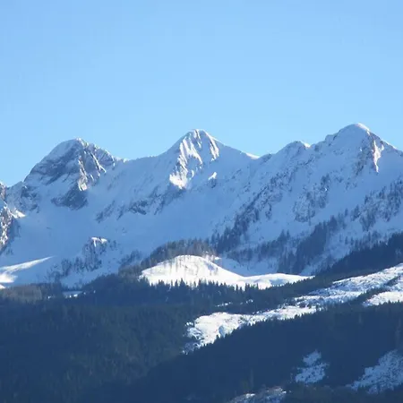 Alpenhotel Tauernstueberl 3* ツェル アム ゼー